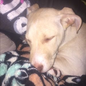 Meet your Posher, Pamela